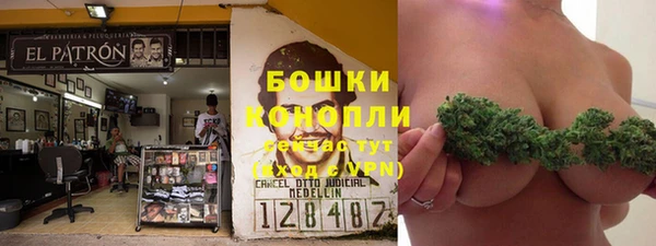 МДПВ Михайлов