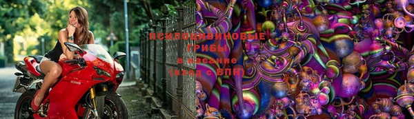 spice Михайловск