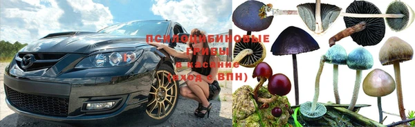 spice Михайловск